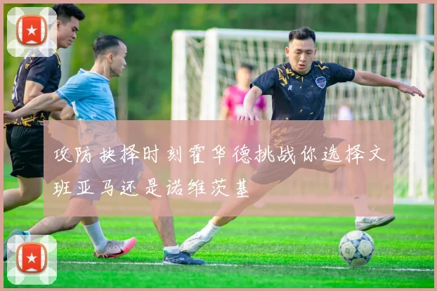 攻防抉择时刻霍华德挑战你选择文班亚马还是诺维茨基